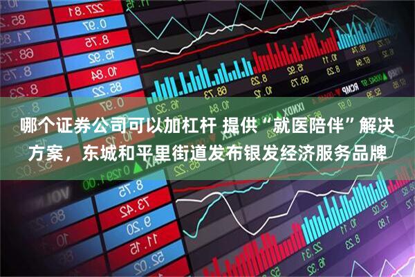 哪个证券公司可以加杠杆 提供“就医陪伴”解决方案，东城和平里街道发布银发经济服务品牌