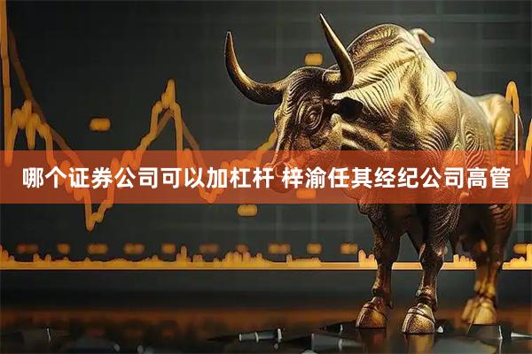 哪个证券公司可以加杠杆 梓渝任其经纪公司高管