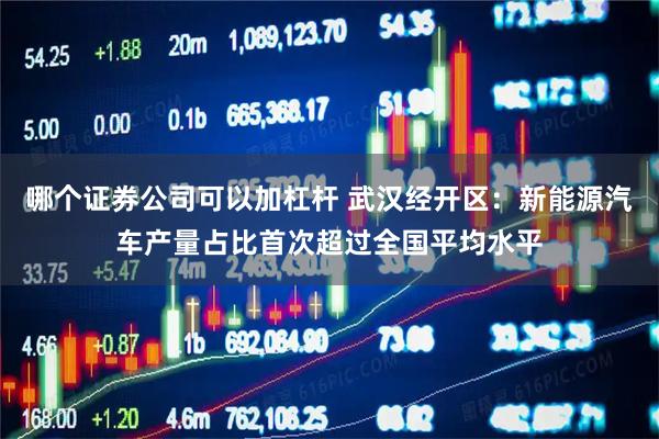 哪个证券公司可以加杠杆 武汉经开区：新能源汽车产量占比首次超过全国平均水平